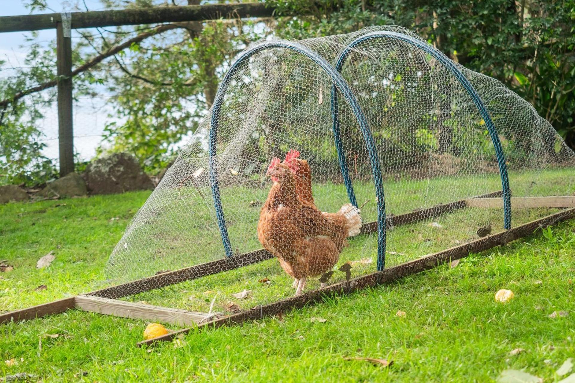 Cottage Comfort カンガルー・バレー エクステリア 写真